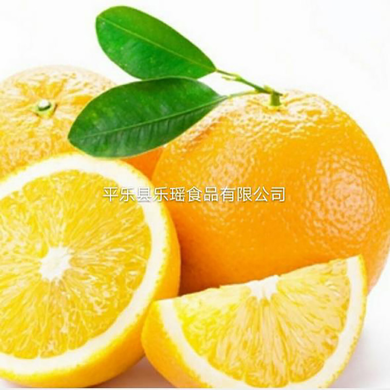 Factory Supply Meal Replacement Nutritional Orange Powder - Image 3