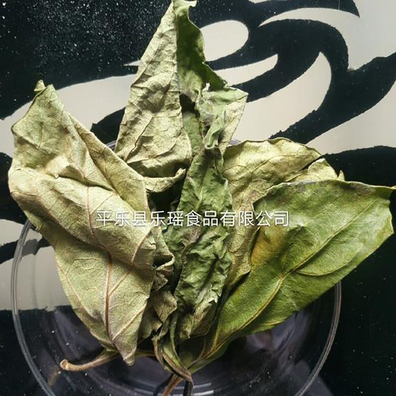 Food Ingredient Instant Persimmon Leaf Powder - Image 3