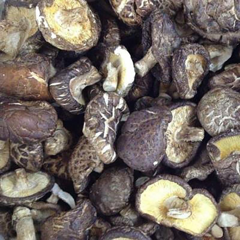 Seasoning Ingredient Shiitake Mushroom Powder Wholesale Factory - Image 4