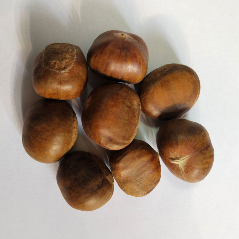 Leyao Chestnut Puree Powder Cooked Chestnut Powder Whole Powder - Image 4