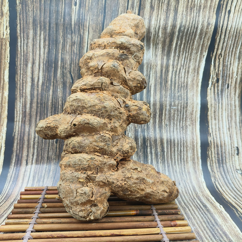 Base Supply Organic Fresh Sarsaparilla - Image 4