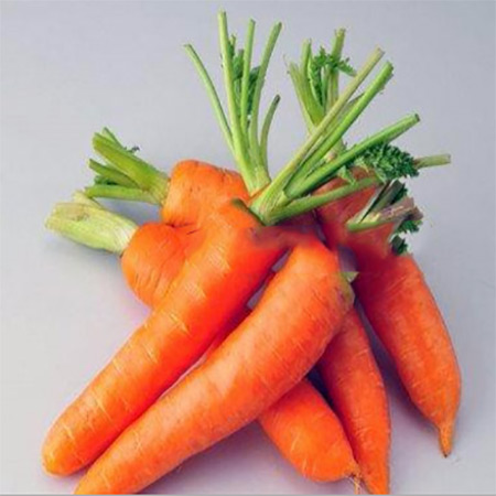 Fairyland Lake Brand Dehydrated Vegetable Bulk Carrot Powder - Image 2