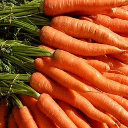 Fairyland Lake Brand Dehydrated Vegetable Bulk Carrot Powder - Image 4