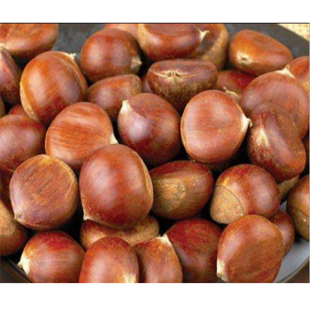 Factory Supply Instant Concentrated Chestnut Powder - Image 2