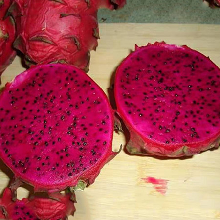 Red Dragon Fruit Powder Dragon Fruit Dried Slices - Image 3