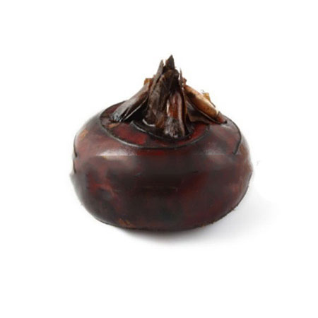 Factory Supply Guilin Specialty Dried Water Chestnut Slices - Image 4
