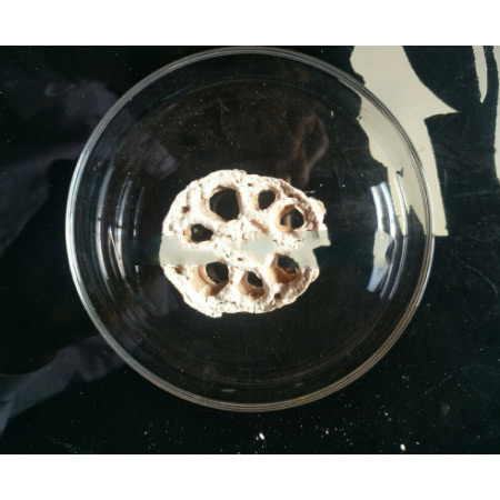 Low-Temperature Dehydrated Lotus Root Dried Slices Custom Wholesale - Image 3