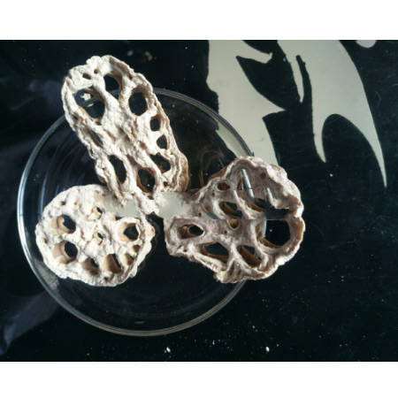Low-Temperature Dehydrated Lotus Root Dried Slices Custom Wholesale - Image 2