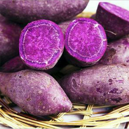 Factory Supply Purple Sweet Potato Powder Wholesale - Image 3