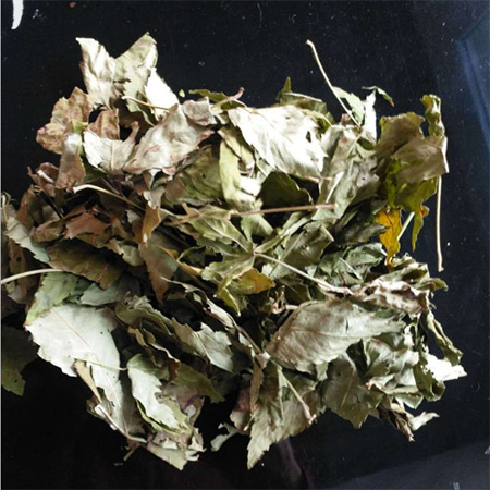 Guangxi Specialty Herbal Tea Blackberry Leaf Tea - Image 2