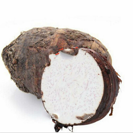 Factory Supply Taro Puree - Image 3